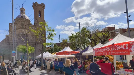 Sant Jordi 2026: Barcelona Prepares for a Transformed Festiv