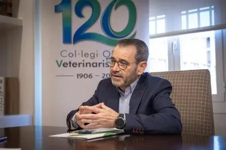 Expert Demands Faster Boar Culling as Swine Fever Spreads