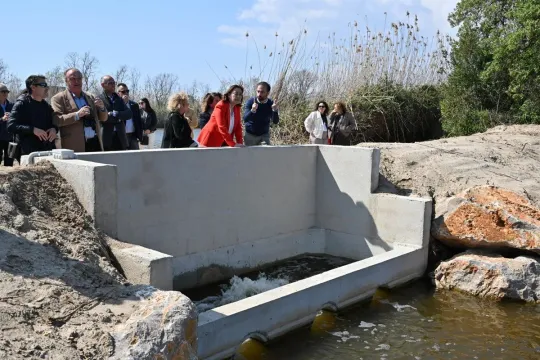 ACA Invests €1.3m to Restore Viladecans’ Remolar Lagoons