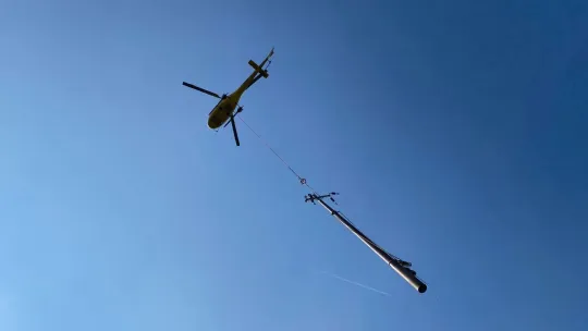 Collserola Gets Fibreglass Poles After Woodpecker Attacks