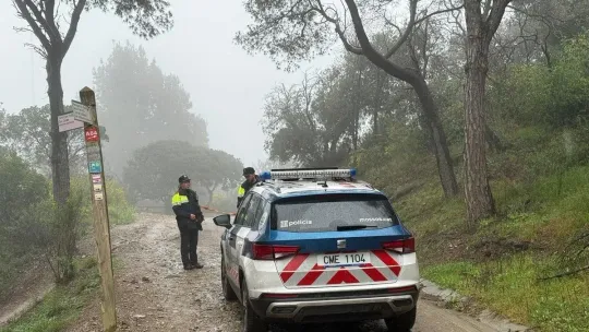 Rain and Swine Fever Keep Collserola Park Empty