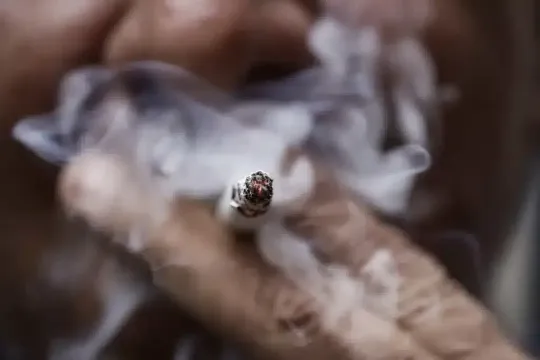 Catalan Teens Shun Vices for Digital Addiction