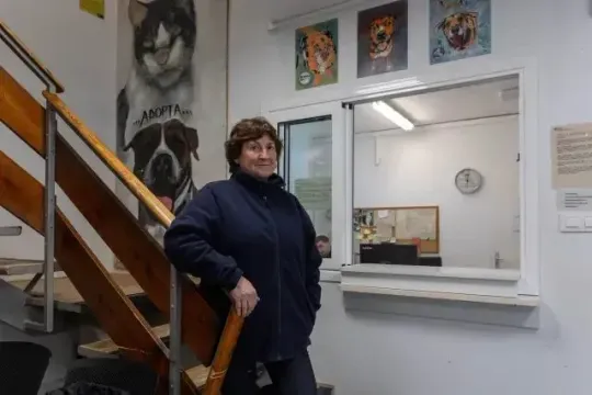 Barcelona Animal Shelter Sees 42% Rise in Dog Population