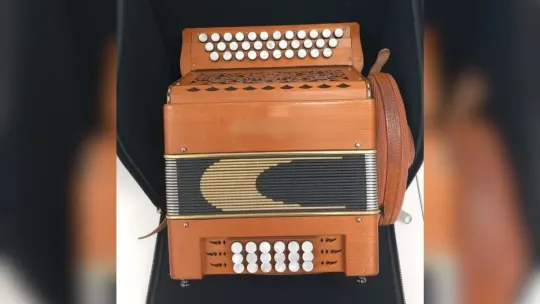 Man Arrested for €5,000 Accordion Theft on Barcelona Train