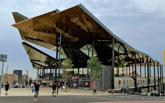 Scientist Josefina Castellví’s Legacy Found at Flea Market