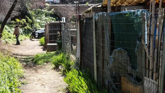 Horta Green Spaces Neglected as Illegal Gardens Spread