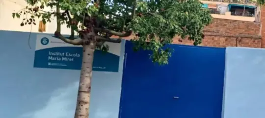 Mother Investigated for Assaulting Teacher in L’hospitalet