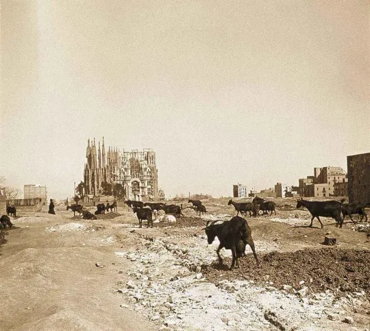 Sagrada Família: the Story Behind the Goats Photograph