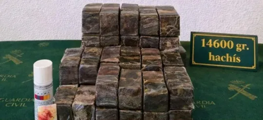 Police Dog Sniffs Out 15kg Hashish on Bus at La Jonquera