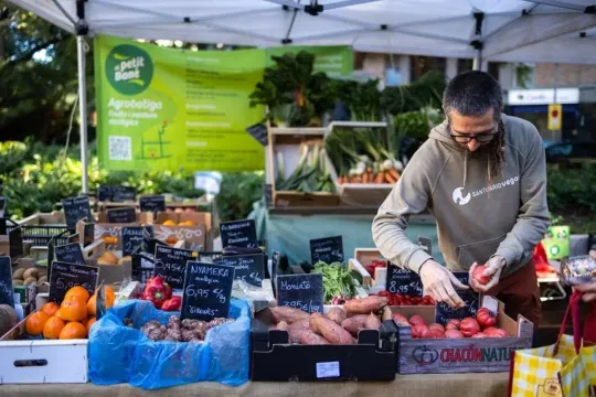 Gothic Quarter Farmers Market: New Barcelona Local Produce Hub