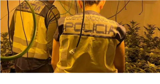 Sicilian Mafia in Barcelona: 12 Arrested in Drug Bust