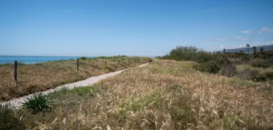 Catalonia Coastal Protection Plan: 2028 Strategy for 91 Municipalities