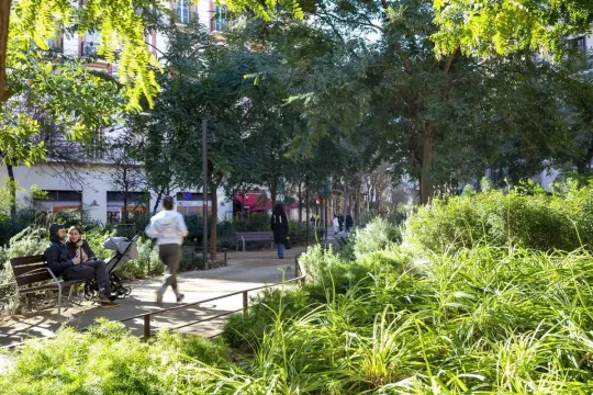 Eixample Green Axes: Municipal Report Confirms Social Success Amidst Delivery Chaos