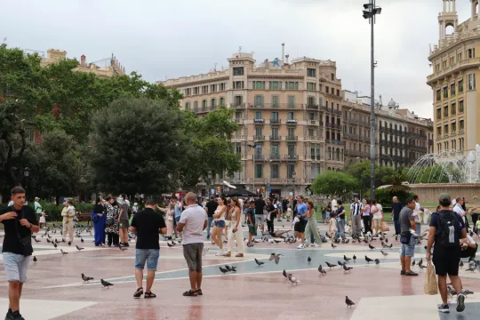 Plaça de Catalunya History: Rare Photo Reveals Vanished Forest
