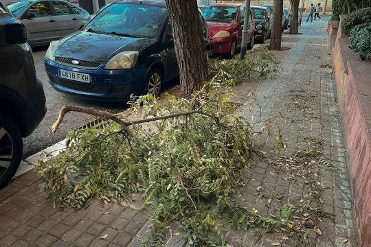 Storm Nils Barcelona: Severe Winds Cause Major Transport Disruption