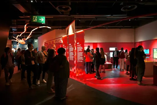 Invisible Animals Exhibition: Barcelona Natural Science Museum Showcases Myth, Extinction & Biodiversity