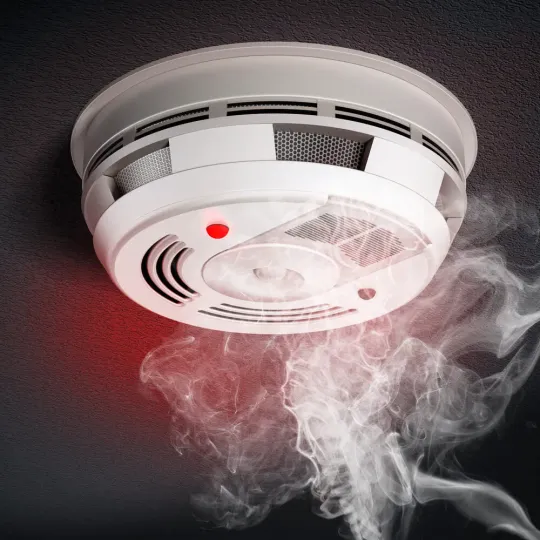 Free Smoke Detectors: Barcelona to Install for Vulnerable Elderly