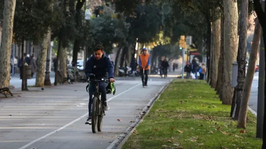 Barcelona Ombudsman Urges Pavement Bike Lane Removal