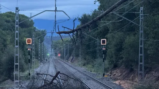 Fallen Tree Halts Rodalies R11 Line, 220 Evacuated