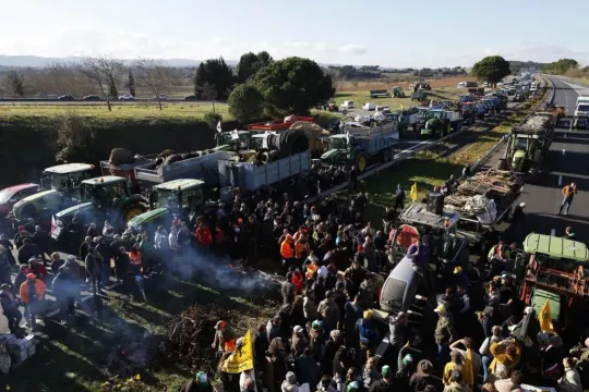 Catalan Farmers Dispute French Cattle Disease Strategy