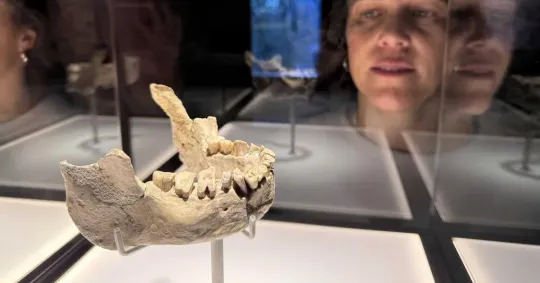 Banyoles Museum Reopens After €4.76M, 16-Year Renovation