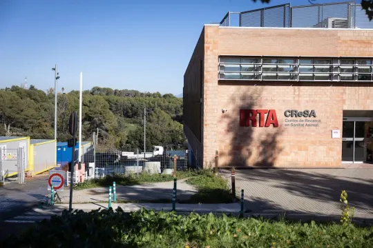 Barcelona Lab Investigated After African Swine Fever