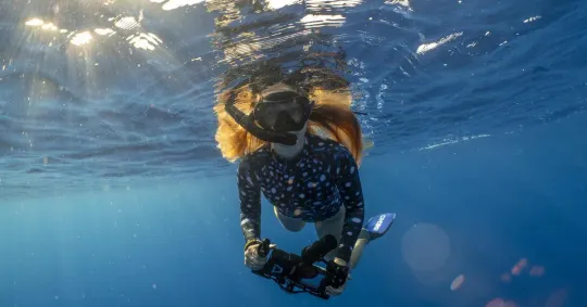 Catalan Activist Campaigns To Free Spain’s 83 Captive Dolphins