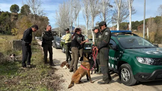 Catalonia Deploys 15 Dog Teams to Find Swine Fever Boar