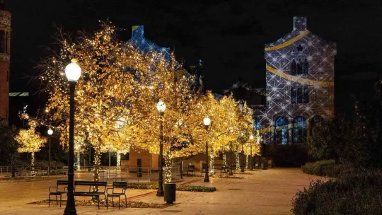 Barcelona Christmas Activities for December 6-10 Weekend