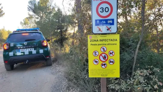 African Swine Fever Confirmed in 50 Wild Boar Deaths in