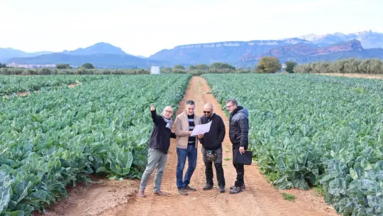 Baix Camp Wind Farm Plan Faces Local Opposition in Catalonia