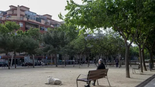 How L’Hospitalet’s New Tree-Planting Campaign Will Cut Pollution and Cool the City