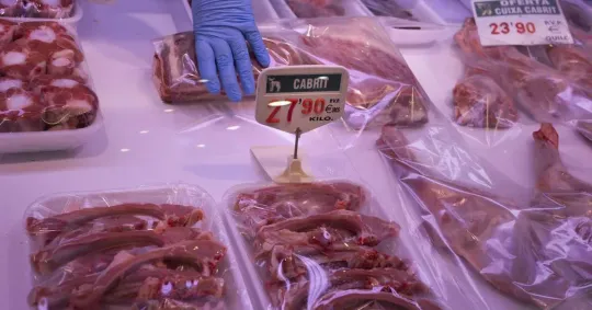 Cost of Living Crisis Deepens as Barcelona Families Face 37% Surge in Food Bills Since 2020