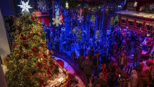 Casa Seat’s Free Wonderland Hits 70,000 Bookings