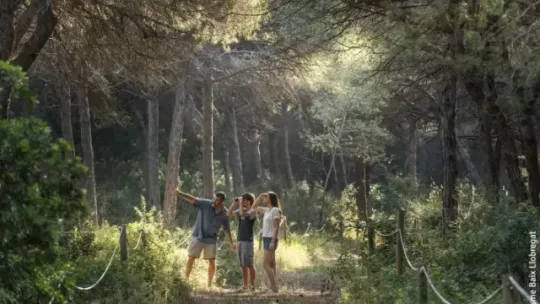 Barcelona Forest Restricts Entry to Just 250 a Year