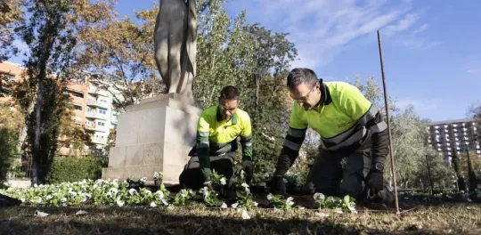 Urban Landscape Shift: Barcelona Introduces Drought-Resistant Trees and Shrubs Citywide