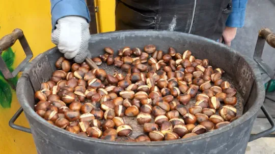 Barcelona’s Castañada 2025 Launches With 2-Day Festival