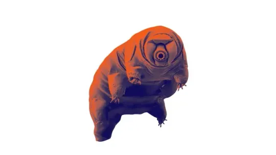 CosmoCaixa Launches Hunt for Alien Life in Universe