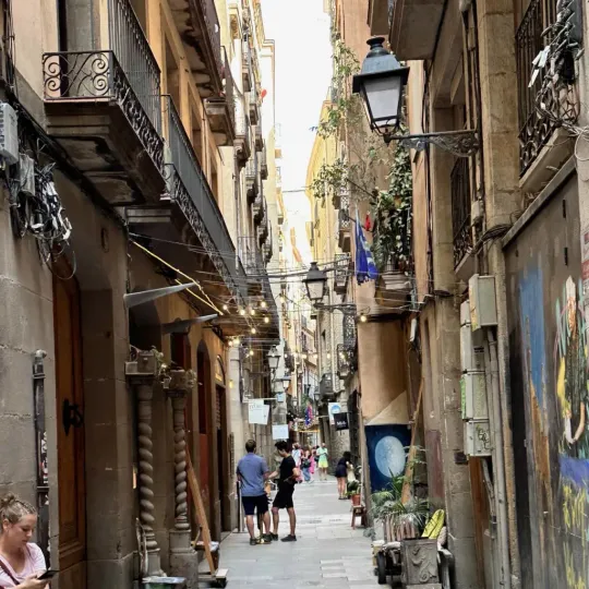 Catalonia Receives 83 Municipal Plans After 15 Years