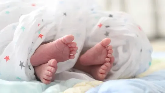 Mercè Name Popularity: Barcelona Co-Patron Name Plummets to Near Extinction