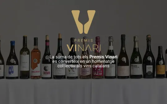 Which Catalan wines scored highest in 2025?