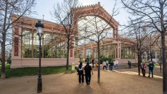 ‘darwin Botanic’ Exhibit Unveils Scientist’s Plant Work