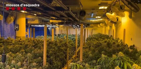 Police bust drug ring shipping across Europe