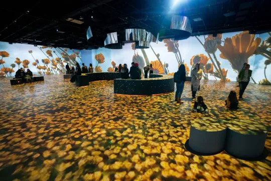 CaixaForum Barcelona launches immersive exhibition ‘We Are Nature’