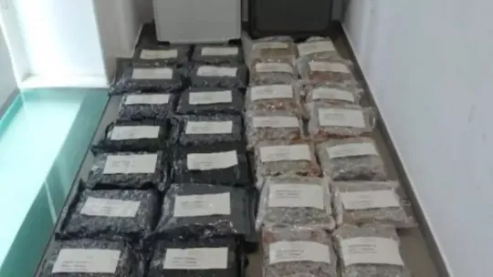 Police uncover new ‘narco-route’ from Bangkok at airport: 8 arrested and 180kg of marijuana seized