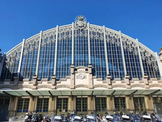 Police seize 1,600 smuggled cigarettes at Estació del Nord