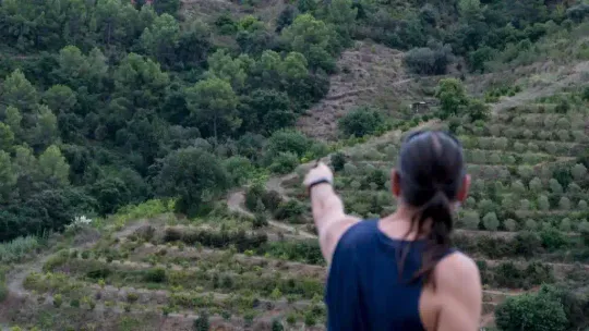 New-generation fires push AMB to double its budget for wildfire prevention