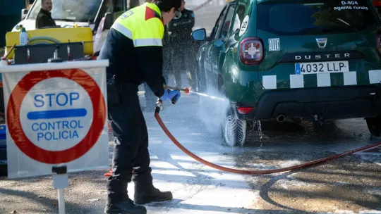 African Swine Fever Confirmed in Barcelona’s Collserola Park