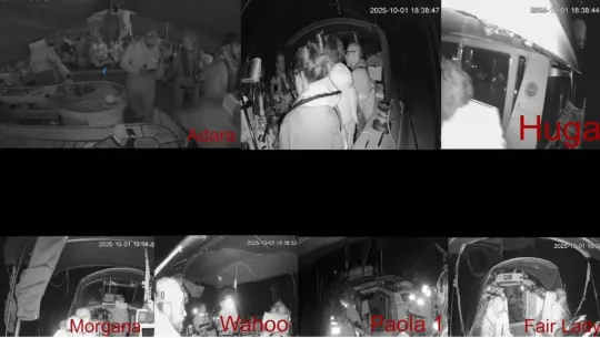 Ada Colau detained by Israeli military in Gaza flotilla