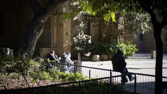 Barcelona Ombudsman Urges Action on Neglected Gardens